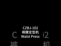 Laundry mushroom utility steam pressing machine dry wash